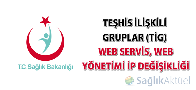 TİG Web Servis, Web yönetimi ip değişikliği