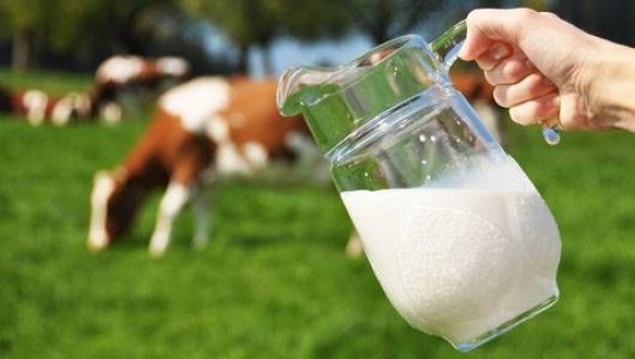 15 günlük süt, günlük süt olur mu?