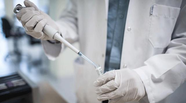 "Yerli aşı, 2019'da kullanılmaya başlanacak"