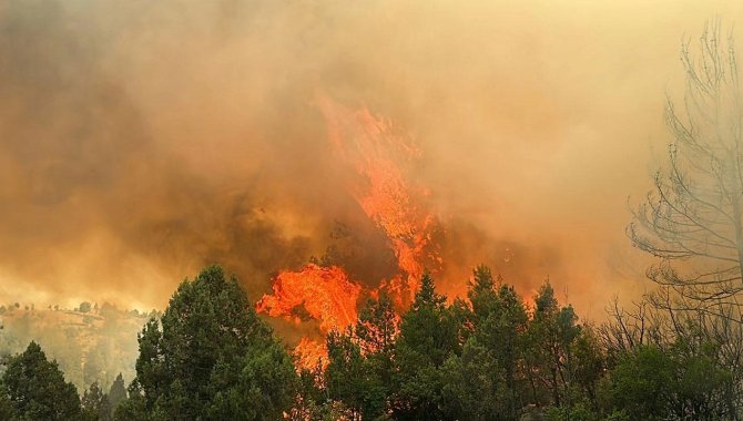 Türk Toraks Derneğinden orman yangınlarına ilişkin açıklama: