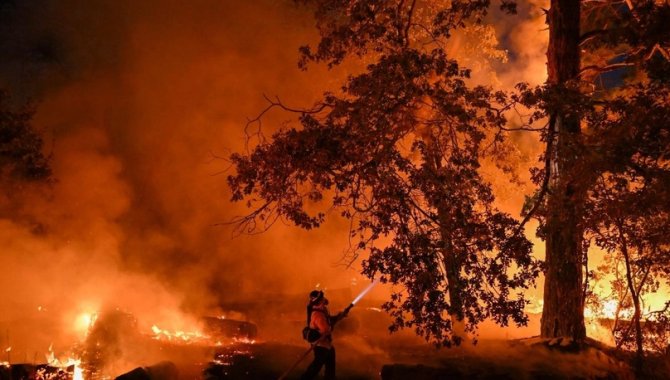 Araştırma: Orman yangınları beyin üzerinde de olumsuz etkisi yaratıyor