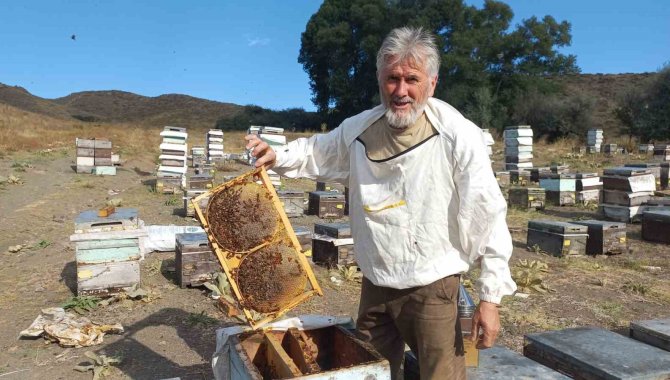 Sahte Bal Hem Sağlığı Hem De Sektörü Olumsuz Etkiliyor