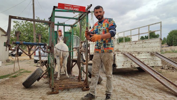 "Nalbulans" ile sahipsiz hayvanlara ücretsiz tırnak bakımı