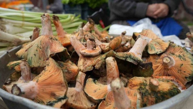 Uzmanından zehirlenmelerin önüne geçmek için kültür mantarı tüketilmesi tavsiyesi