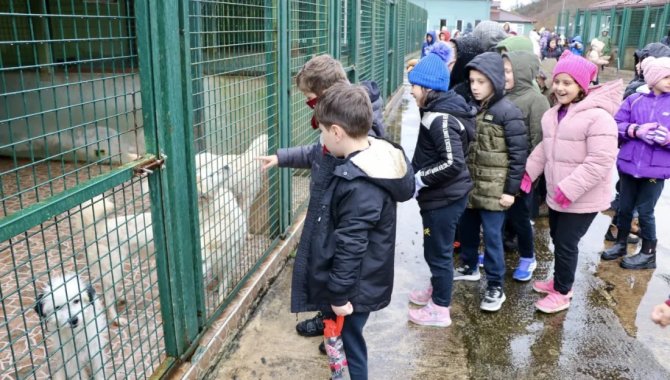 Trabzon'da "iyilik timi"ndeki öğrenciler barınaktaki köpekleri besledi