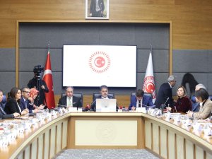 Sağlık Bakanlığı yetkilileri, Bebek Ölümlerini ve Özel Sağlık Kuruluşlarını Araştırma Komisyonunda soruları yanıtladı