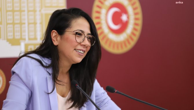 TİP'li Kadıgil, özel hastanelerin kamulaştırılması için kanun teklifi verdiklerini bildirdi