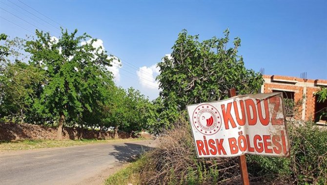 Hatay'da bir mahalle kuduz nedeniyle karantinaya alındı