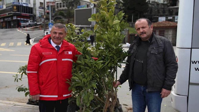 Rize'de kan bağışçılarına meyve fidanı hediye edildi