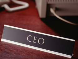 Döner sermayeleri CEO'lar yönetecek