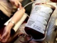 Cezayir'de Gazze için kan bağışı kampanyası