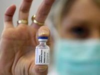 Domuz gribi aşısıyla ilgili şok gelişme
