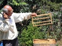 Kilosu 5 bin liraya arı sütüne yoğun talep