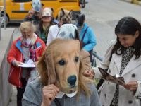 Sokak hayvanları için rehabilitasyon merkezi açılması isteği