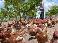 Hastalardan etkilenip başladı talebe yetişemiyor