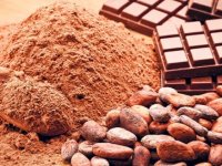 Kansere karşı saf kakao