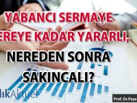 Yabancı sermaye nereye kadar yararlı, nereden sonra sakıncalı?