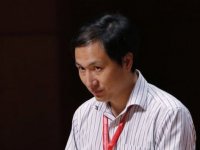 Bebeklerin genetiğini değiştirdiğini iddia eden Çinli bilim insanı gözaltına alındı