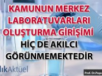 Kamunun merkez laboratuvarları oluşturma girişimi akılcı görünmemektedir