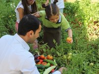 Okul bahçesinde organik sebze ve meyve üretiyorlar