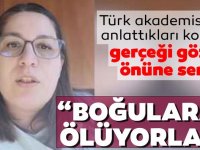 İtalya’da yaşayan araştırma görevlisi korkunç gerçekleri anlattı / Video