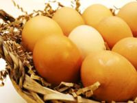 Bozulan yumurtayı anlamanın püf noktaları