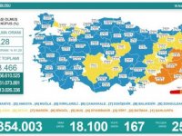 Türkiye'de 18 bin 100 kişinin Kovid-19 testi pozitif çıktı, 167 kişi hayatını kaybetti