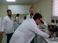 Türk Bilim İnsanının Tıp Dünyasını Heyecanlandıran Çalışması