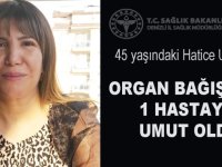 Kaza Sonrası Yaşamını Yitiren Kadının Bağışlanan Organları Başka Hayata Umut Oldu