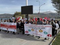 Tatvan’da Dünya Yürüyüş Günü Etkinliği Düzenlendi