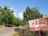 Hatay'da bir mahalle kuduz nedeniyle karantinaya alındı