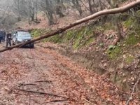 Yalova'da orman yürüyüşünde kaybolan aile ekipler tarafından bulundu